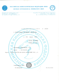 Свидетельство регистрации