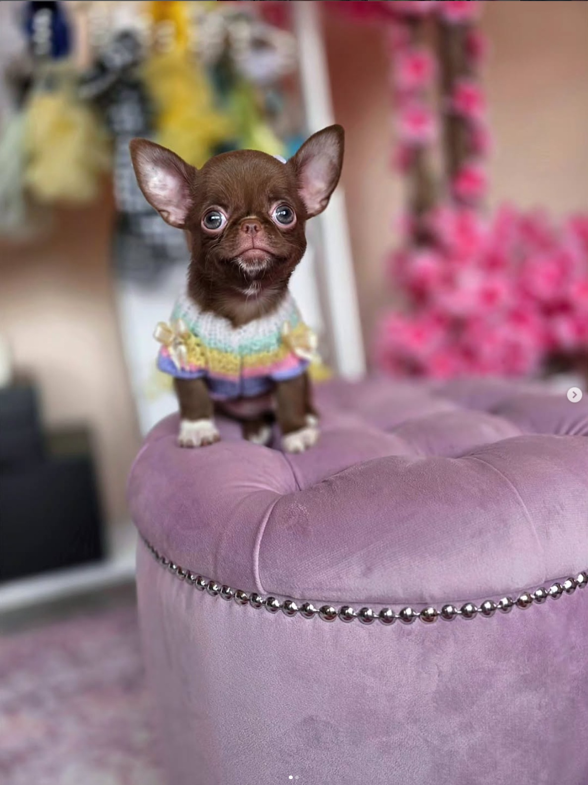 Fonte di joy Бетховен