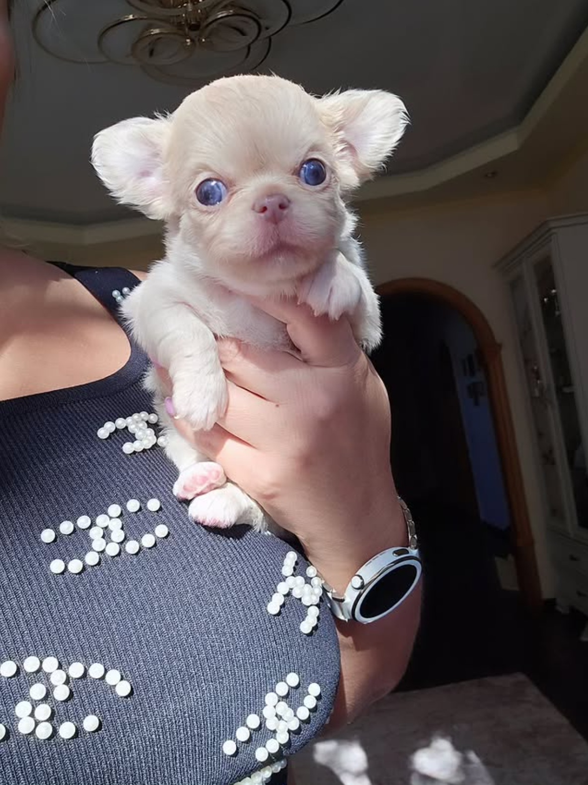 Fonte di joy Рапсодия