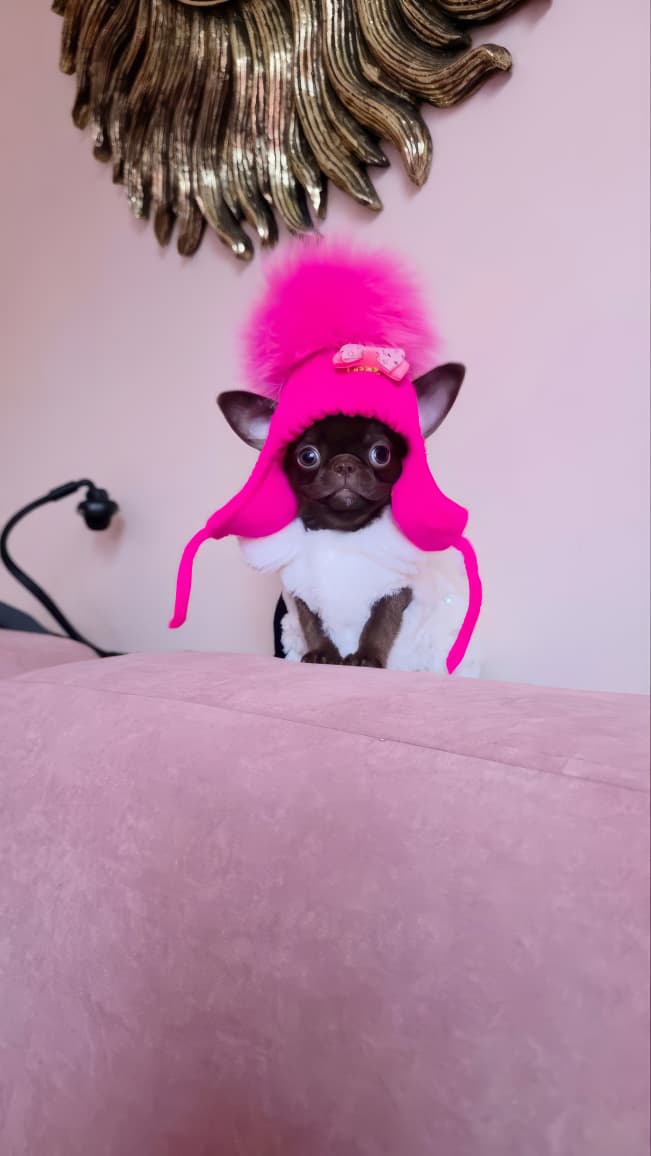 Fonte di joy Бетховен